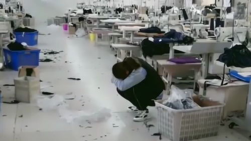 十二年的工厂说倒闭就倒闭了,重庆女老板愁得蹲地上嚎啕大哭